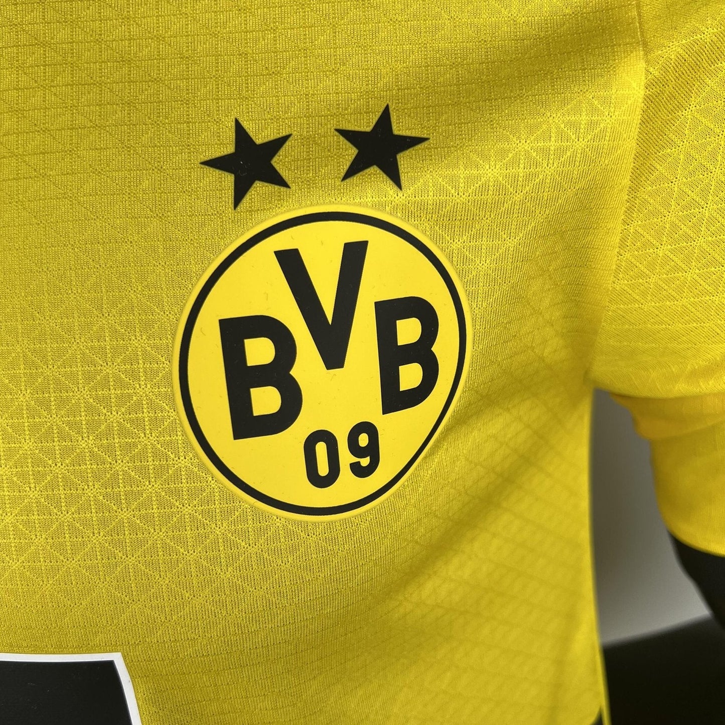 Camisola Borussia Dortmund Principal Versão Jogador 23/24